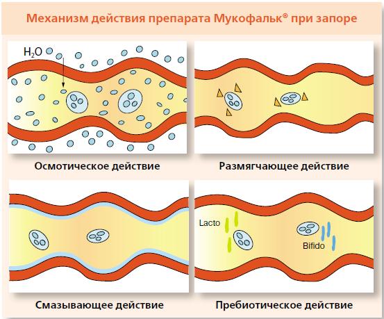 Механизм действия препарата Мукофальк при запоре